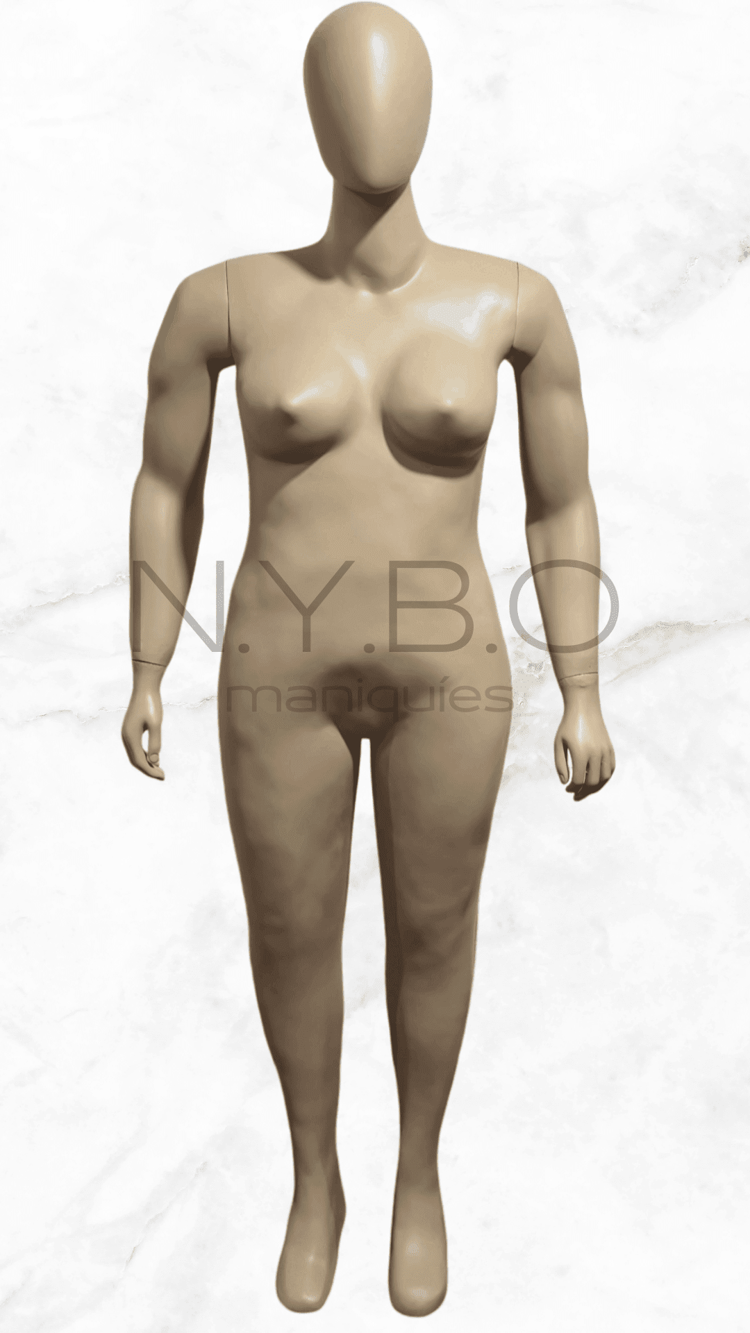 Dama - Plus Size T58 - Image 2