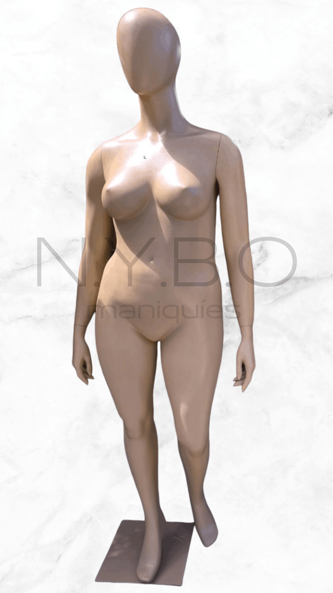 Dama - Plus Size T50 - Image 2