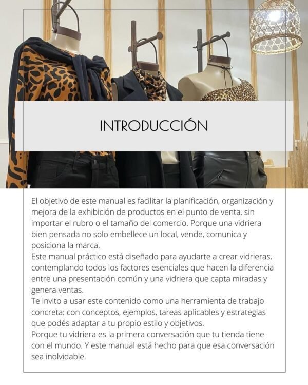 Manual de diseño comercial y Visual Merchandising - Image 3