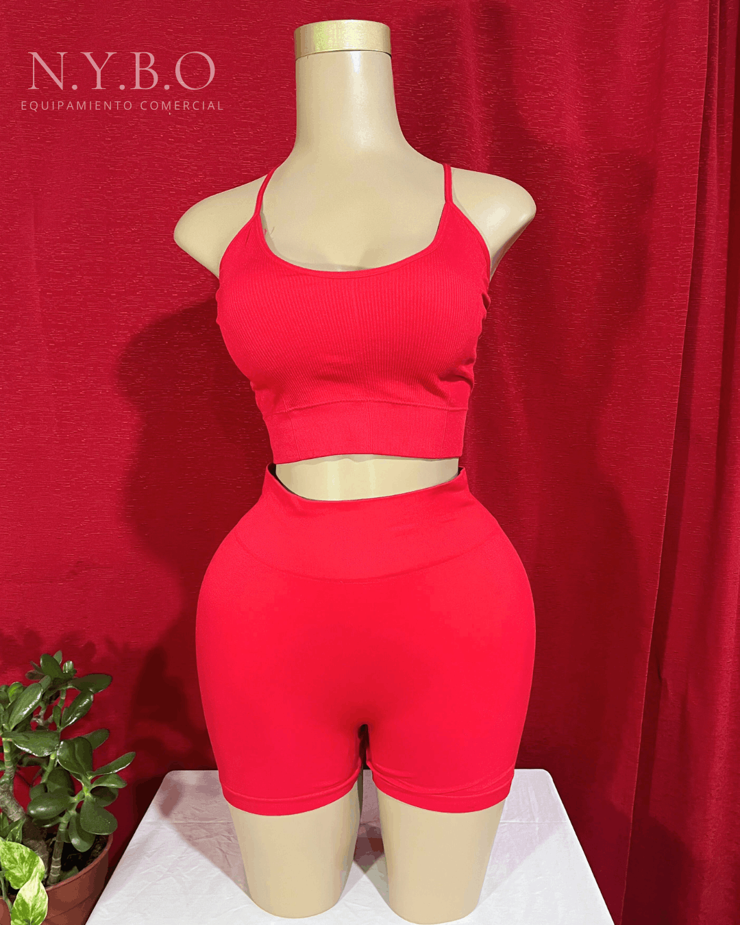 Maniquí Dama FIT - Image 5